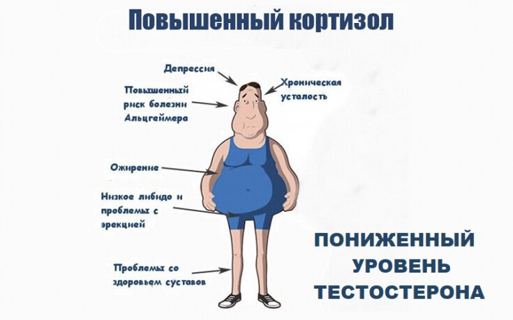 Способы снижения кортизола