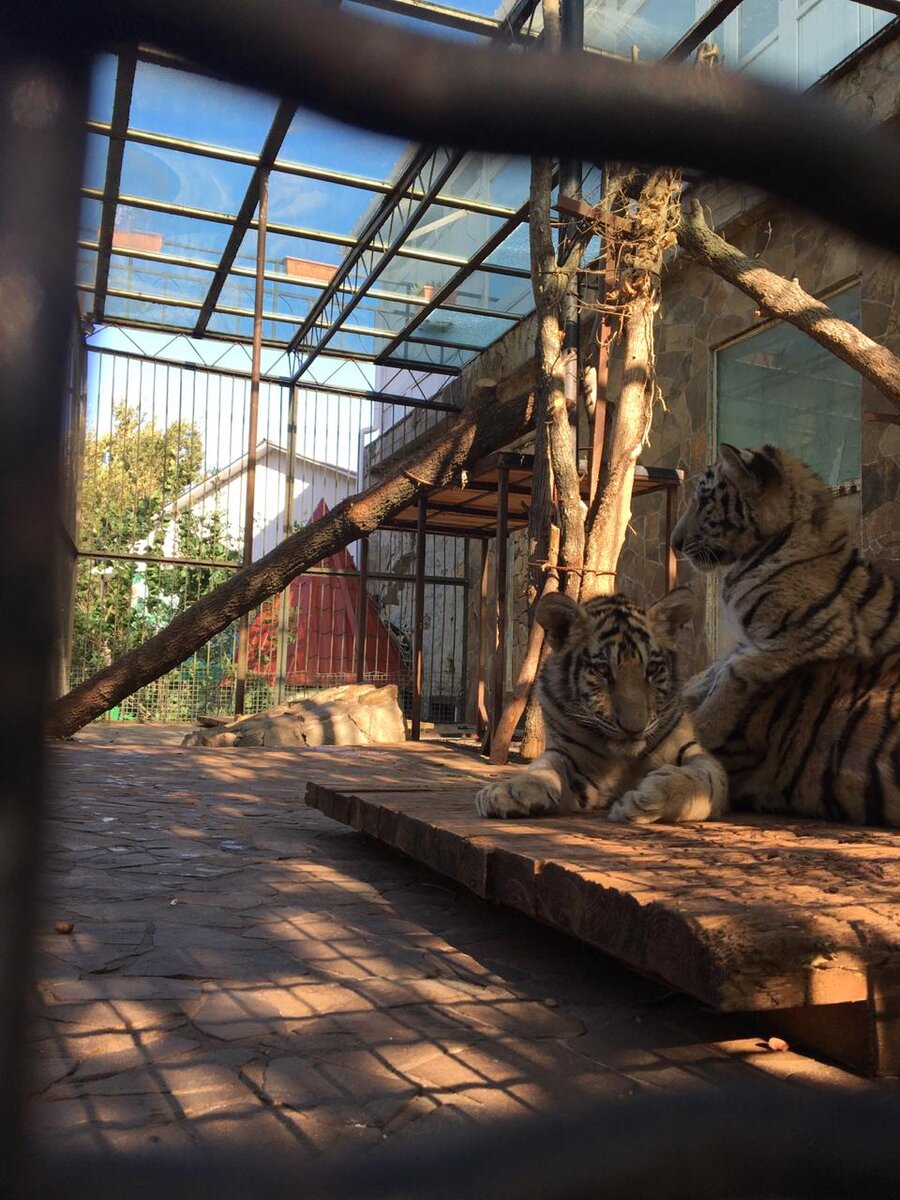 Фото автора. Ялта, 2019 год.