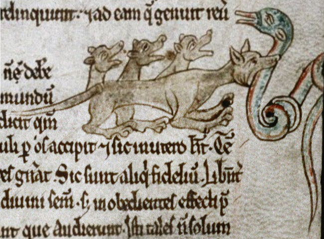Ласка нападает на василиска. Bodleian Library, MS. Douce 167, Folio 8r. http://dragons-nest.ru/glossary/img/basilisk/img8705.jpg