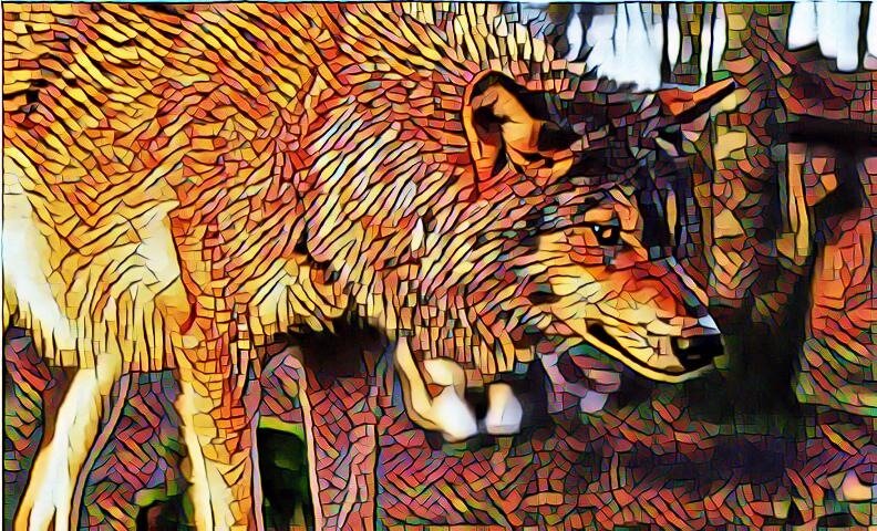 волк отправился на поиски