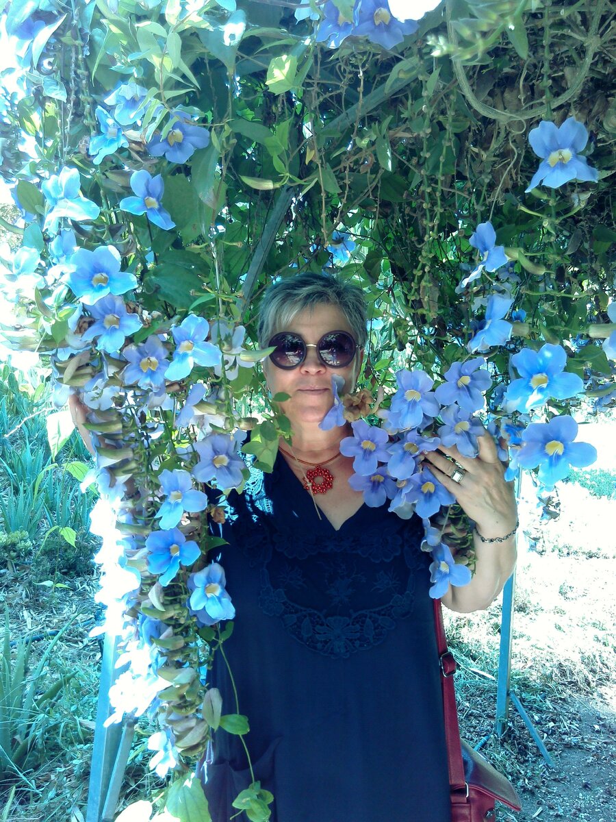 Израиль, 2017