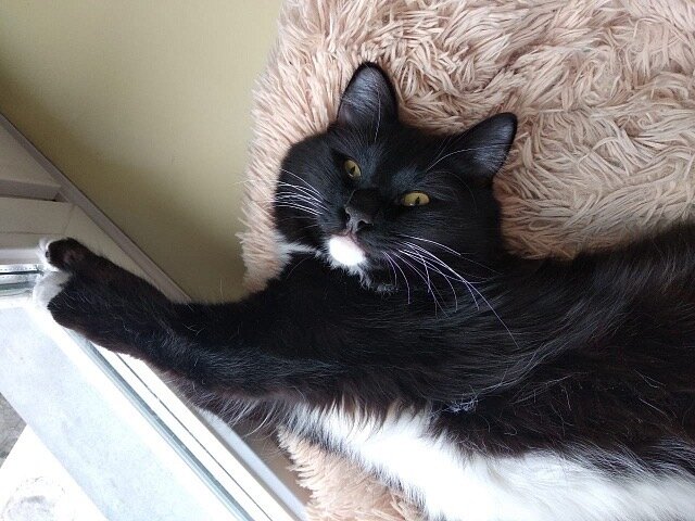 Потягуууушки😍...