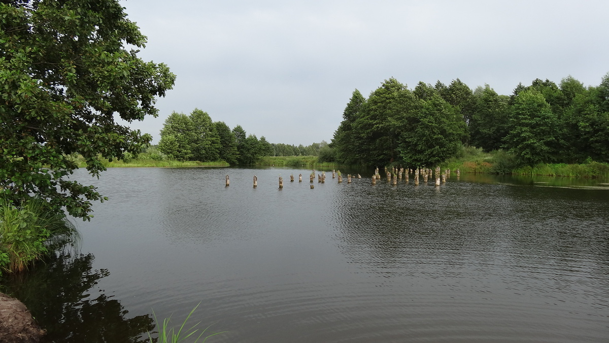 Вот такое озеро, когда-то соединявшееся с речкой