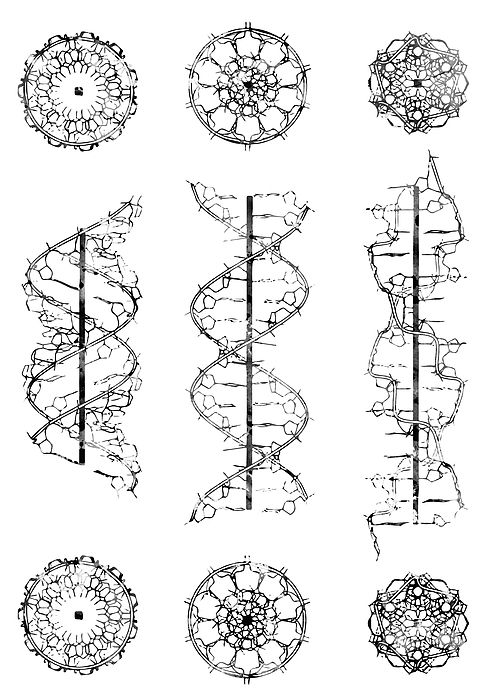 Изображение взято с fineartamerica.com