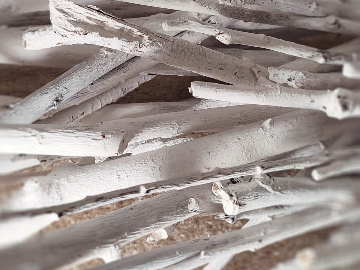 Фото автора. "Судьбы. Ветки. Пути", 2021