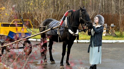 Массаж в бане: 3000 русских порно видео