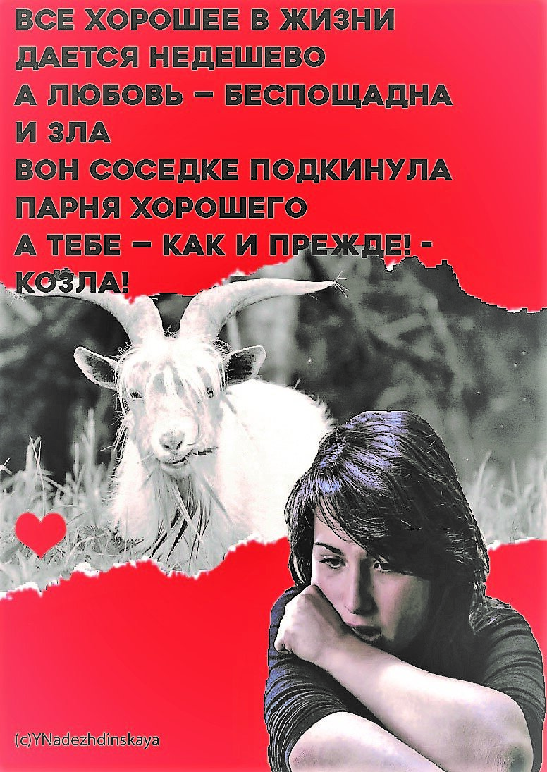 Текст и коллаж автора