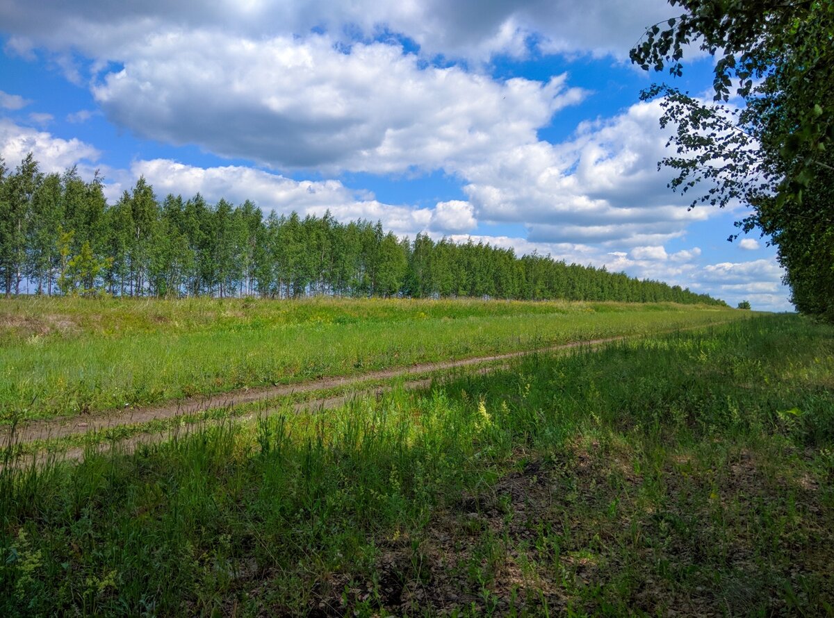 Дорога к селу Акшенас