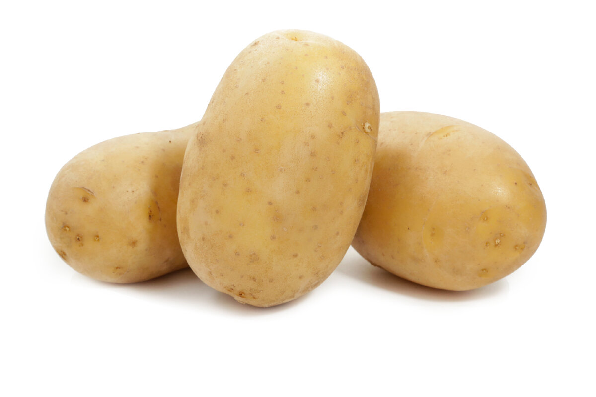Сорт картофеля палац