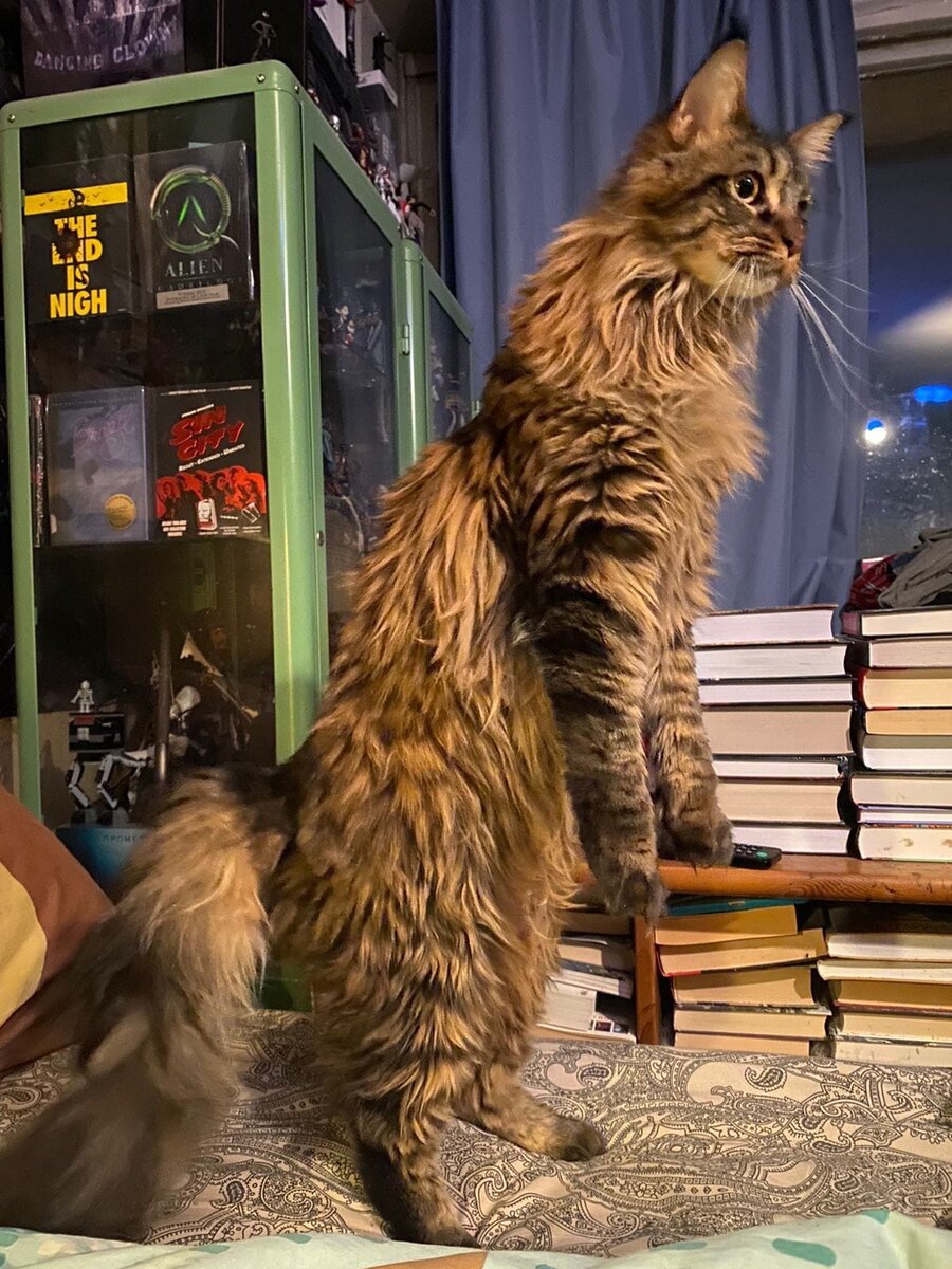 Фото из личного архива. Дрема