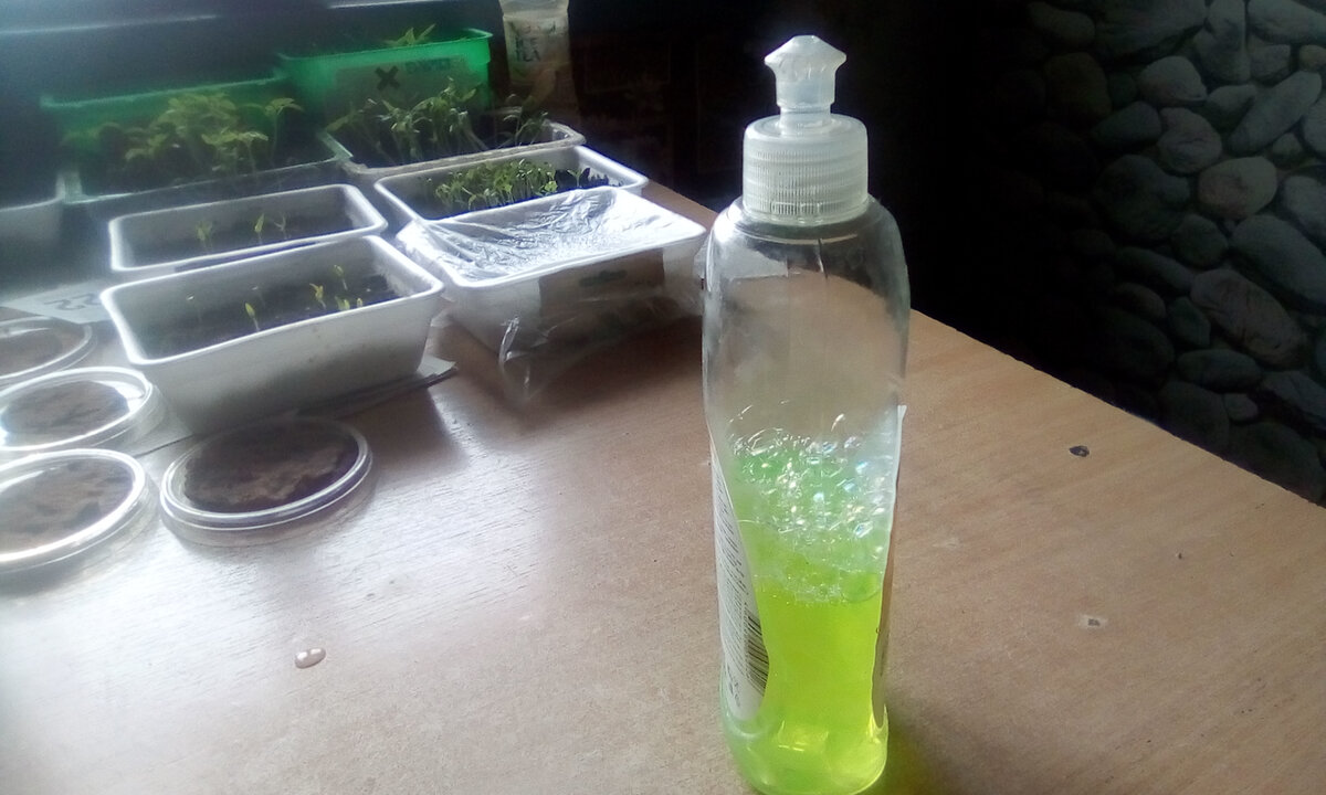 разбавленный для мытья посуды