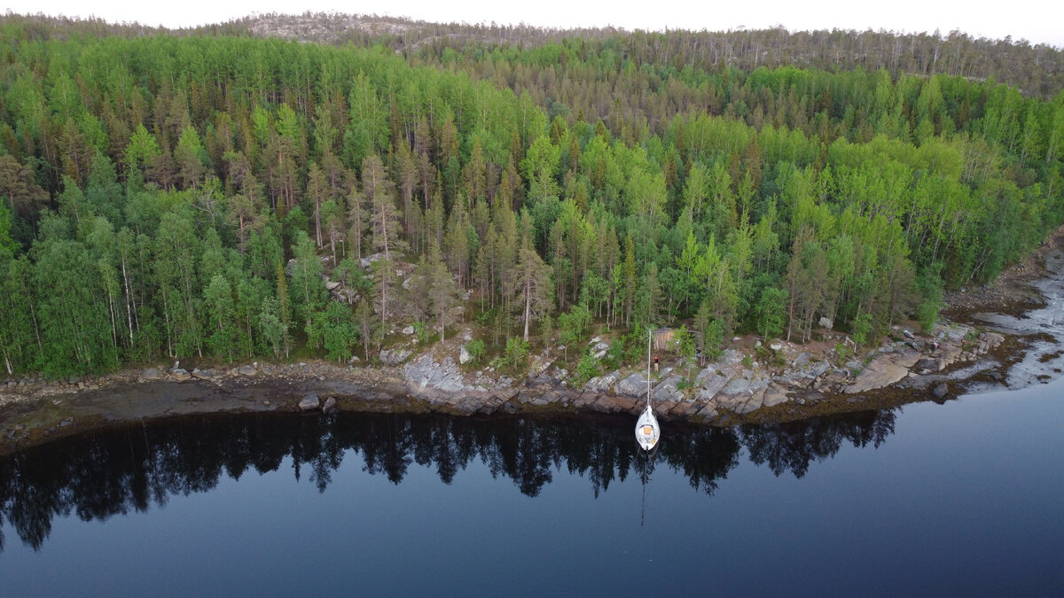 Местная "Калифорния"