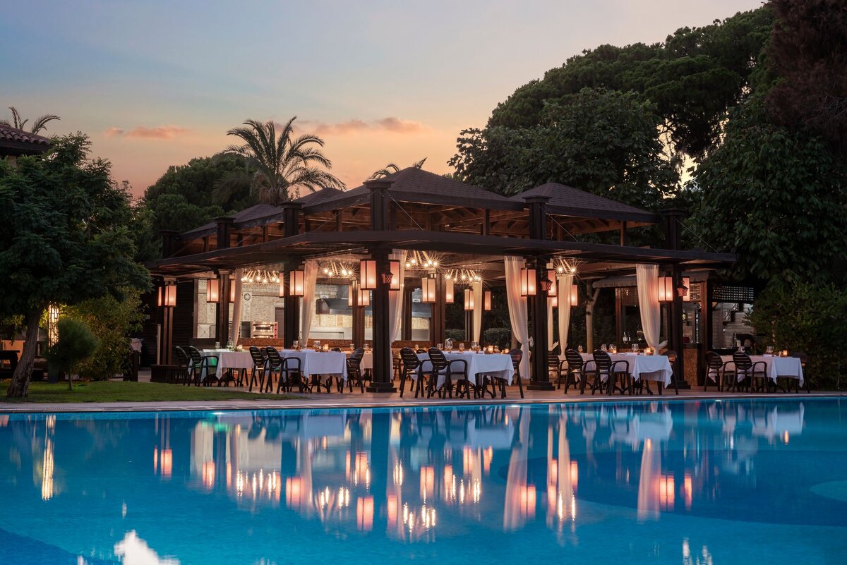 Taco A'la Carte, Papillon Ayscha