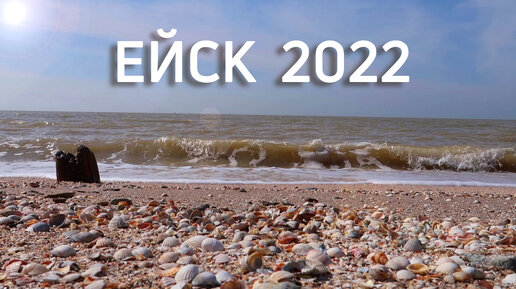 Ейск 2022. Цены на продукты. Пляжи Ейска.