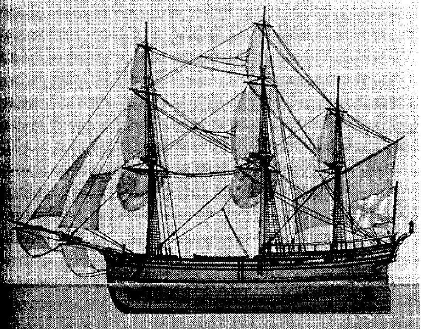 Брандер Д.С. Ильина