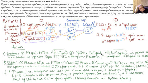 Летний курс для 10-11 классов 