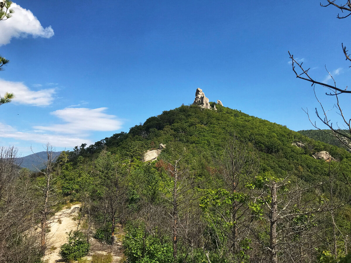 Видим первого дракона! 