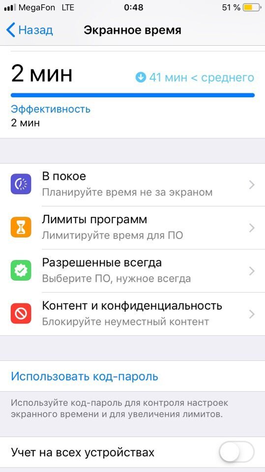 
Пример работы «Экранного времени» в iPhone