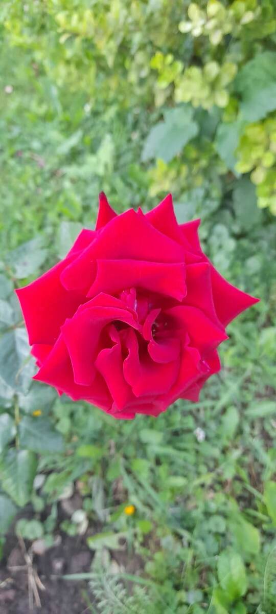 Красота все равно везде