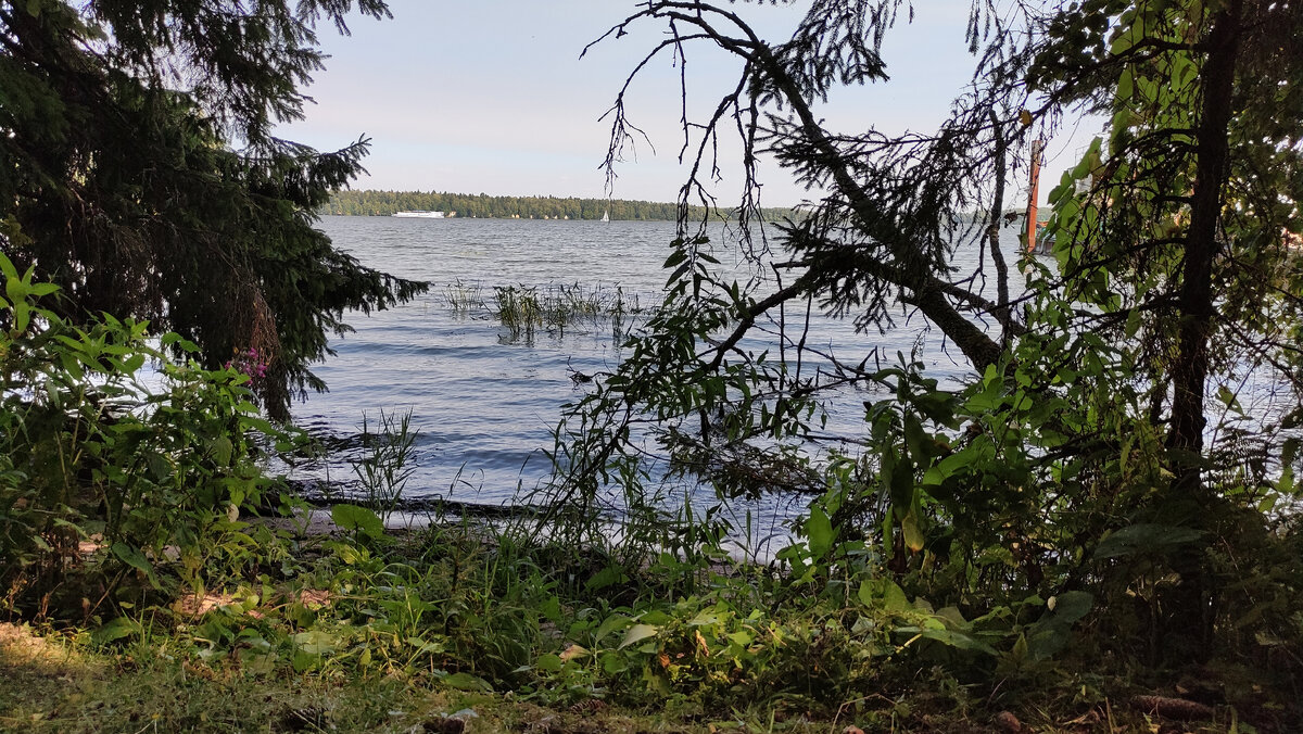 Водохранилище.