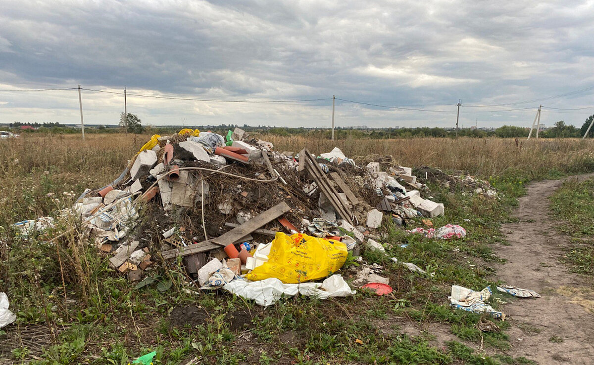    В Курском районе пресечено нарушение природоохранного законодательства