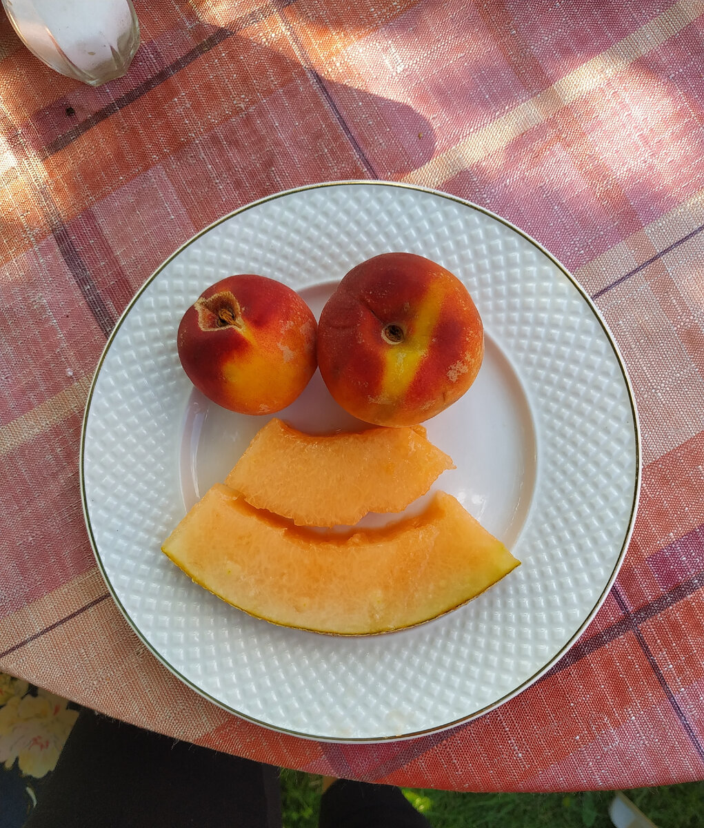 Летние истории 