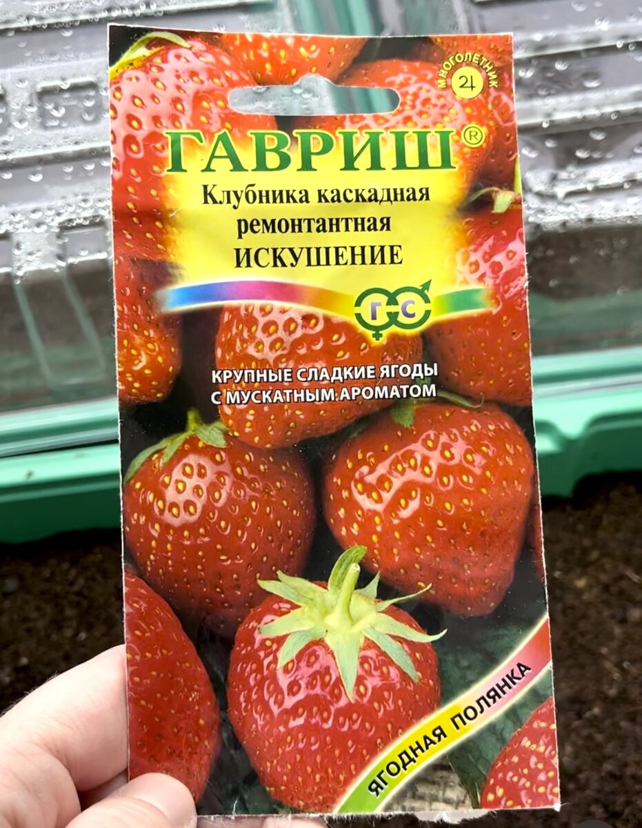 Клубника Искушение F1, ампельная (Аэлита) семена - купить, заказать в магазине Н