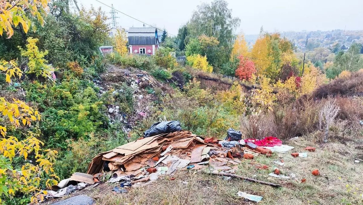     Помойка появилась недалеко от дачных участков.