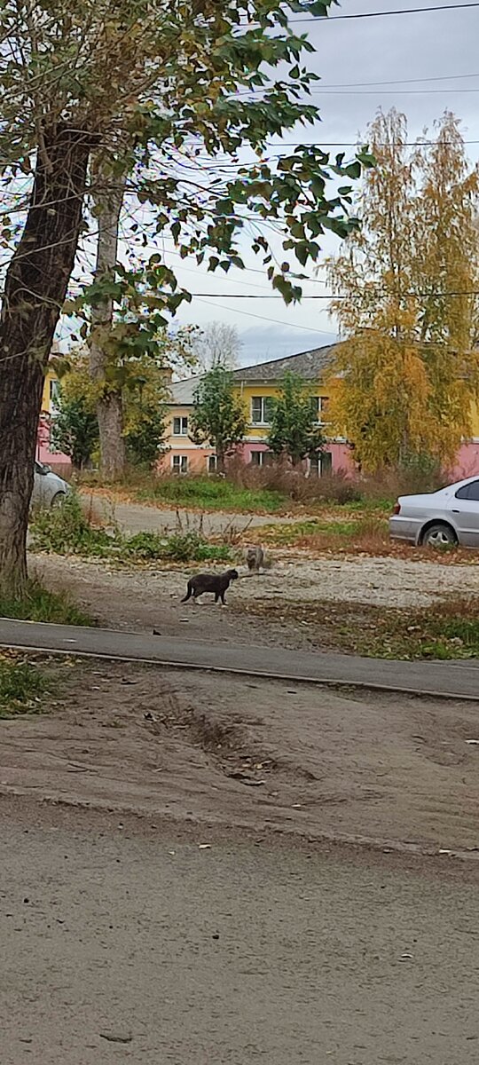 Фото автора. 