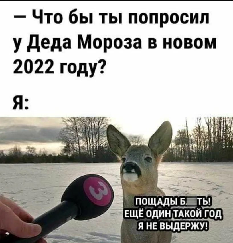 Прикольные картинки 2022