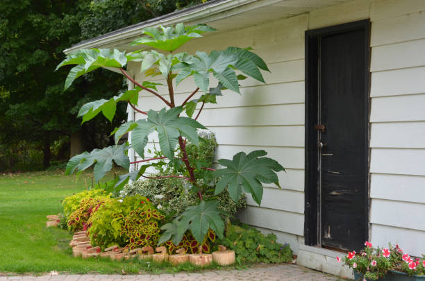 изображение взято с iStock