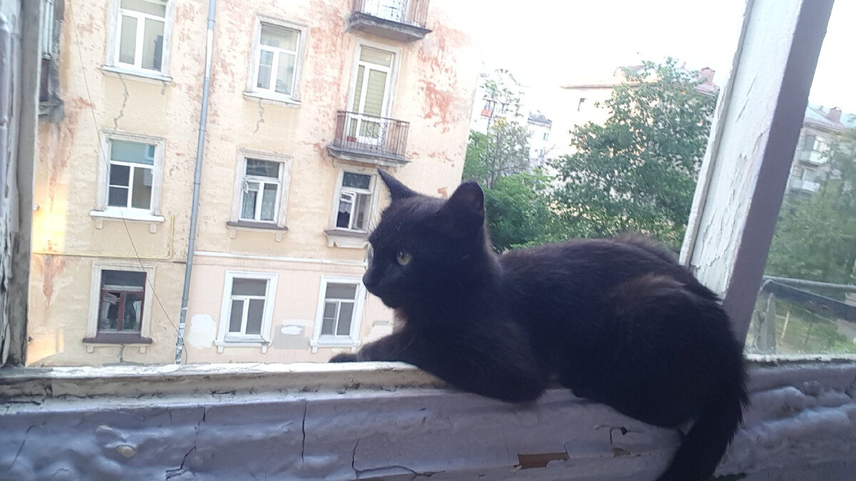 Вот неужели ему так удобно?