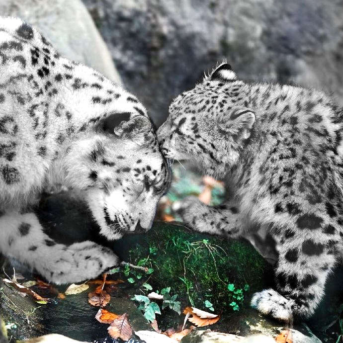 Трава ,как мне кажется, "разбавляет" всю монотонную обстановку.