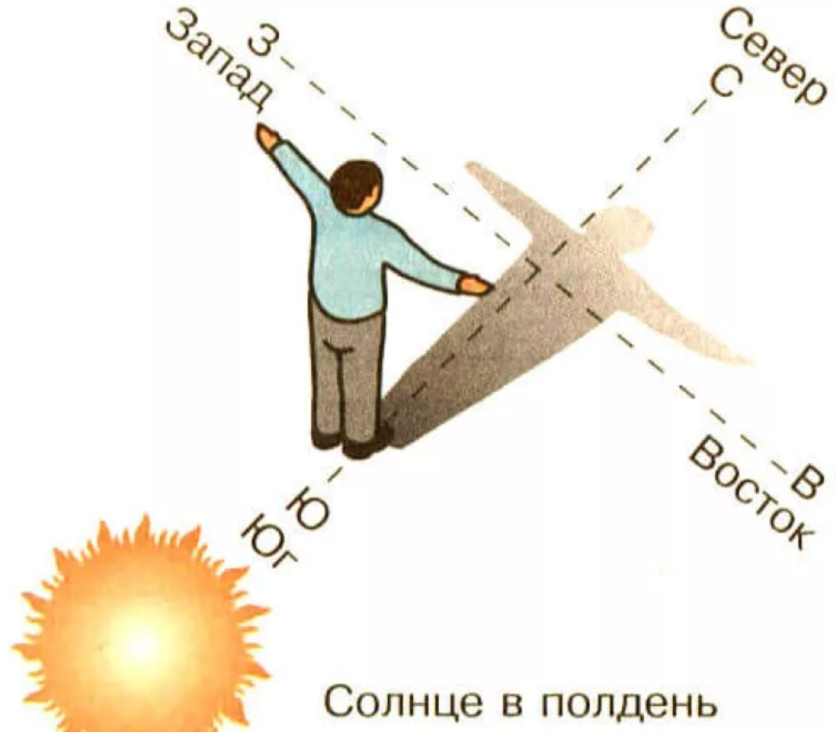 В 7 вечера где солнце. Ориентирование на местности по солнцу. Как определить стороны света по солнцу. Как ориентироваться по солнцу картинки. Как ориентироваться по солнцу в полдень.