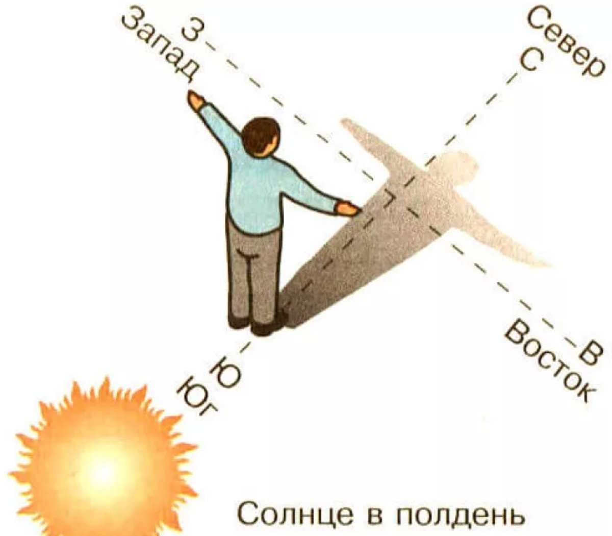 В каком направлении относительно. Ориентирование на местности по солнцу. Как определить стороны света по солнцу. Ориентирование по солнцу рисунок. Определить направление сторон света по солнцу.