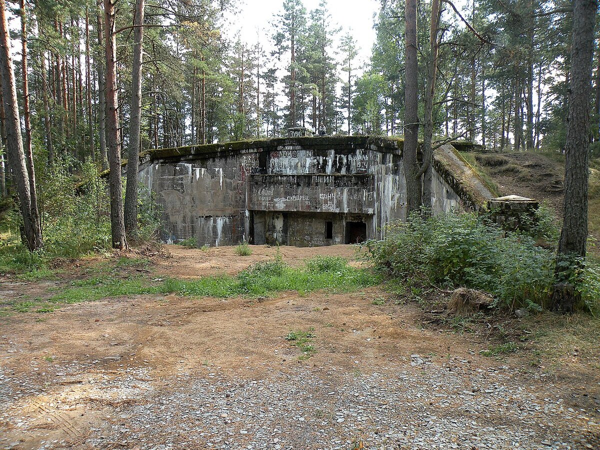 Форт Ино (Николаевский), — одно из основных фортификационных сооружений, защищавших Санкт-Петербург с моря и суши (в составе Кронштадтской позиции Морской крепости Императора Петра Великого). Строился в 1909—1916 годах для защиты от возможной атаки флота Германской империи. Разрушен в 1921 году в соответствии с Тартуским мирным договором. Находился на полуострове Инониеми (северное побережье Финского залива), недалеко от деревни Ино (ныне Приветнинское) - Википедия