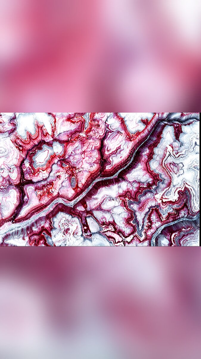 Фото с сайта https://clck.ru/W9R3r