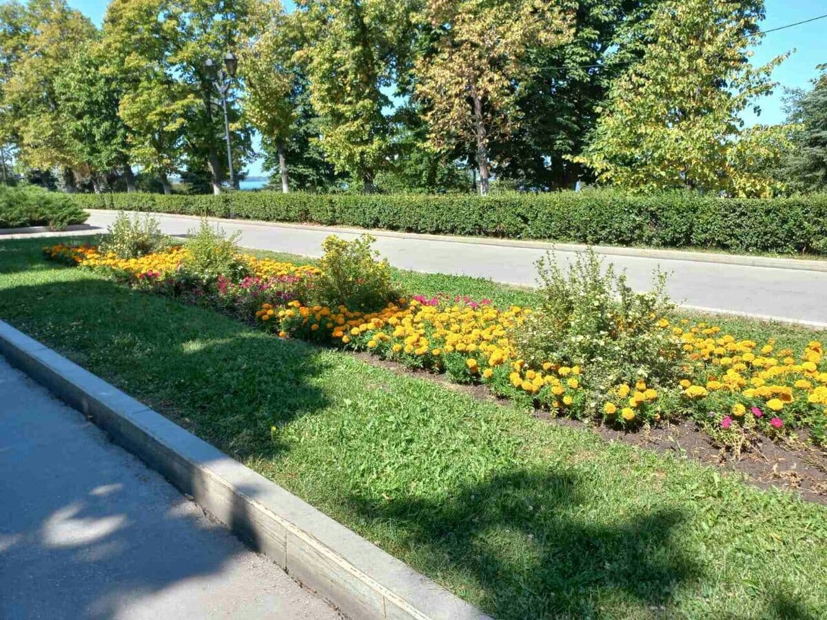 Фото автора.