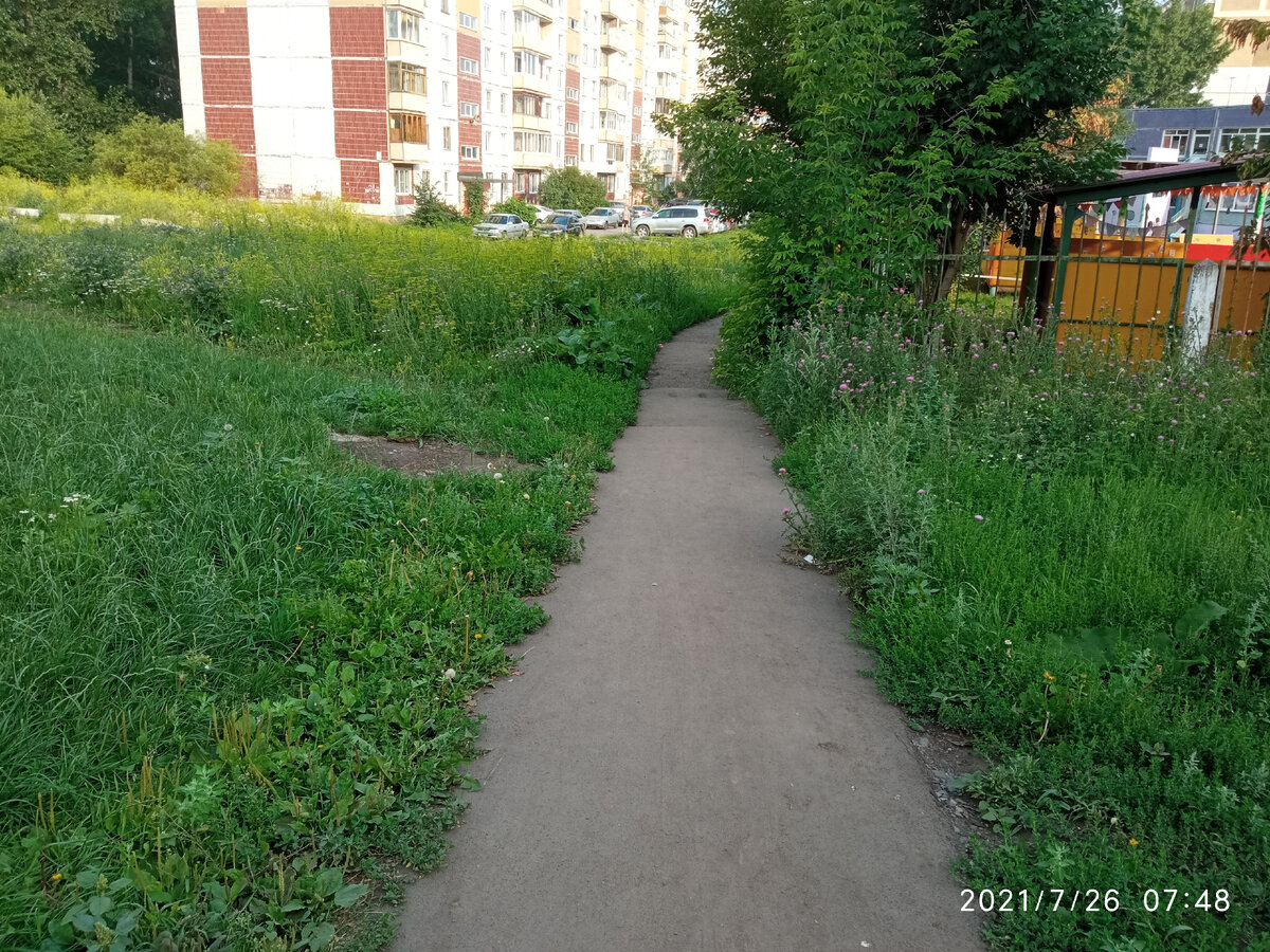 Тропинка к саду