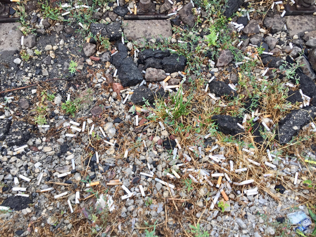 Ни у кого не ёкает в груди? Никому не обидно за нашу природу?