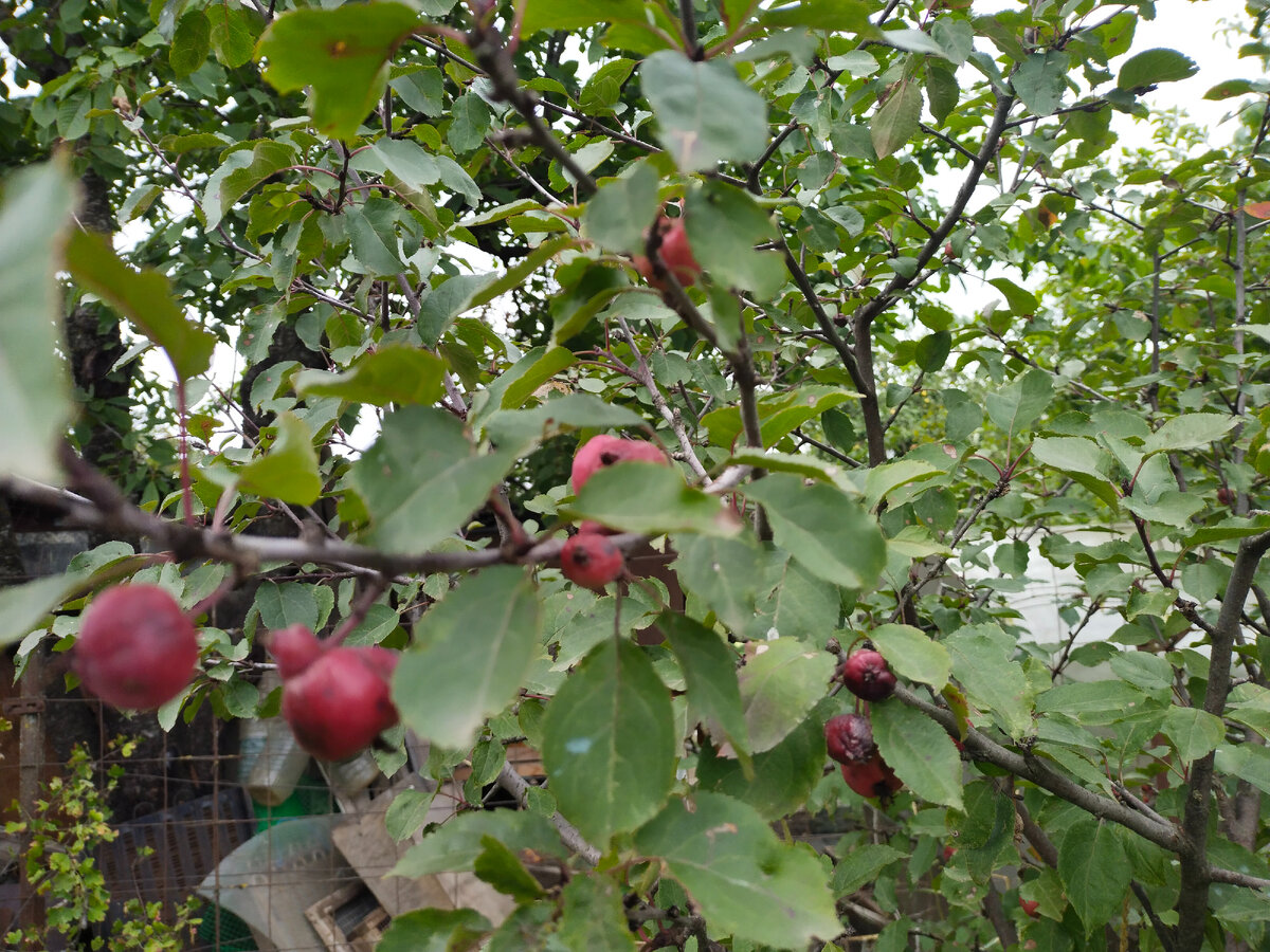 Фото автора канала