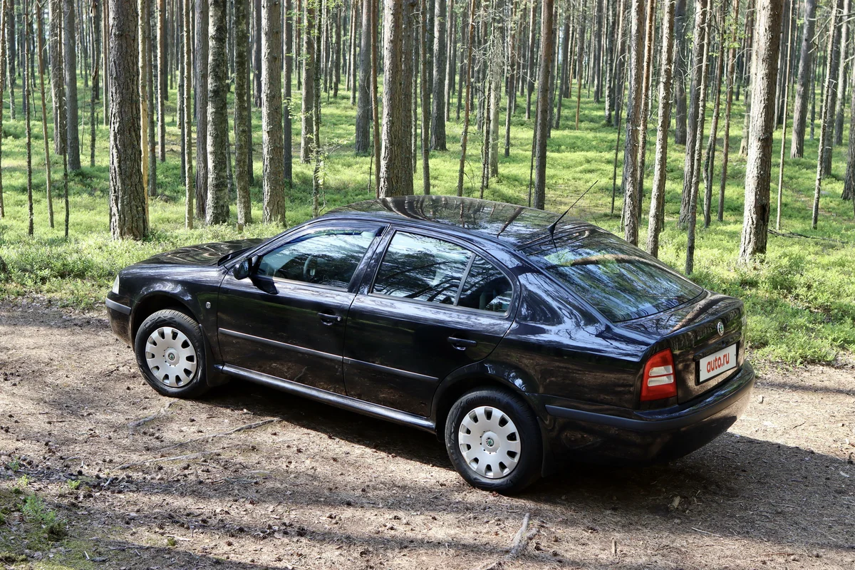 Simply Clever в Европе? Увы, но для нас это темный глухой лес! Источник фото - https://auto.ru/cars/used/sale/skoda/octavia/1104026771-3a1a6122/