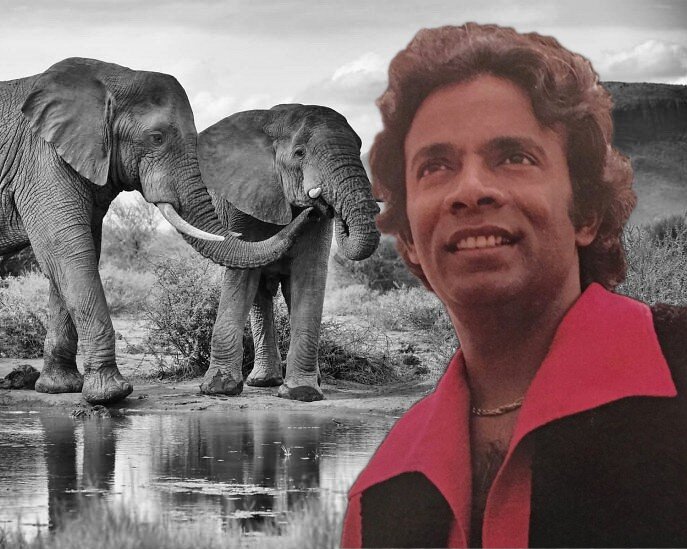 песня elefante. Elephant песня. песня elephant. Elephant пермь музыкант. обложка песни elefante.