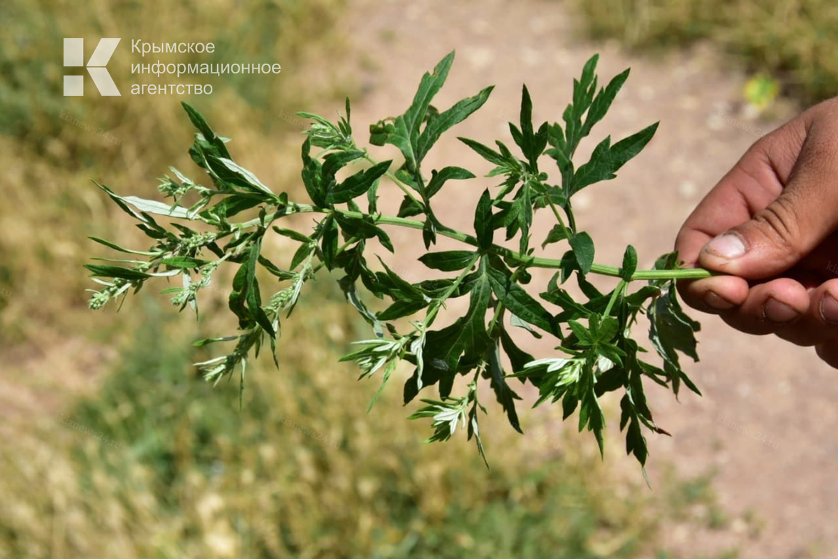 Фото: Михаил Гладчук 