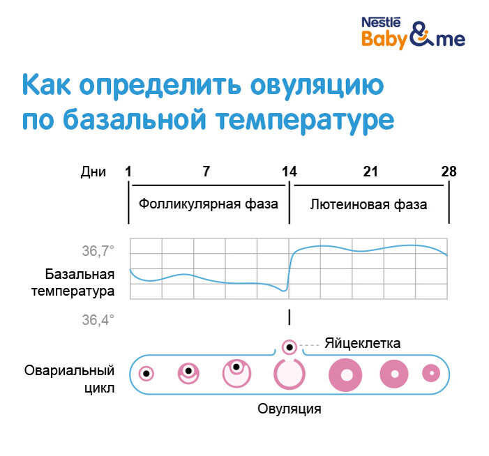 Что такое окно фертильности в календаре месячных. Овуляция рассчитать. Овуляторный цикл и беременность. Калькулятор овуляции рассчитать.