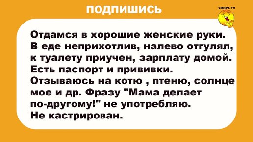 Скачать фильм Отдамся в хорошие руки г на телефон или планшет бесплатно