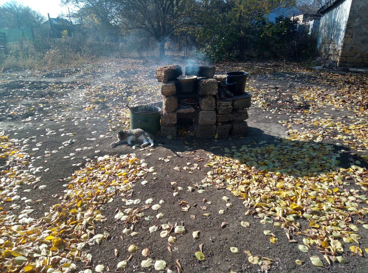 И вода и Барсик - греются. Вода на огне, Барсик на солнышке. ))