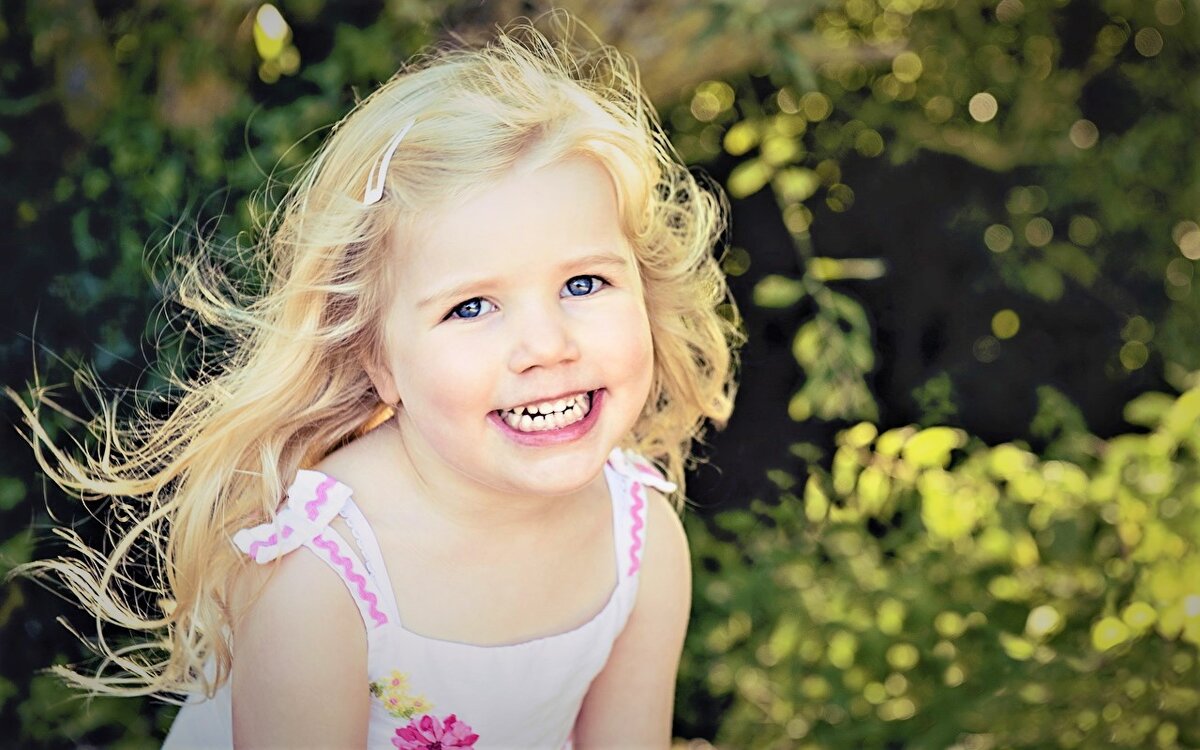 Картинка из открытого доступа сети Интернет