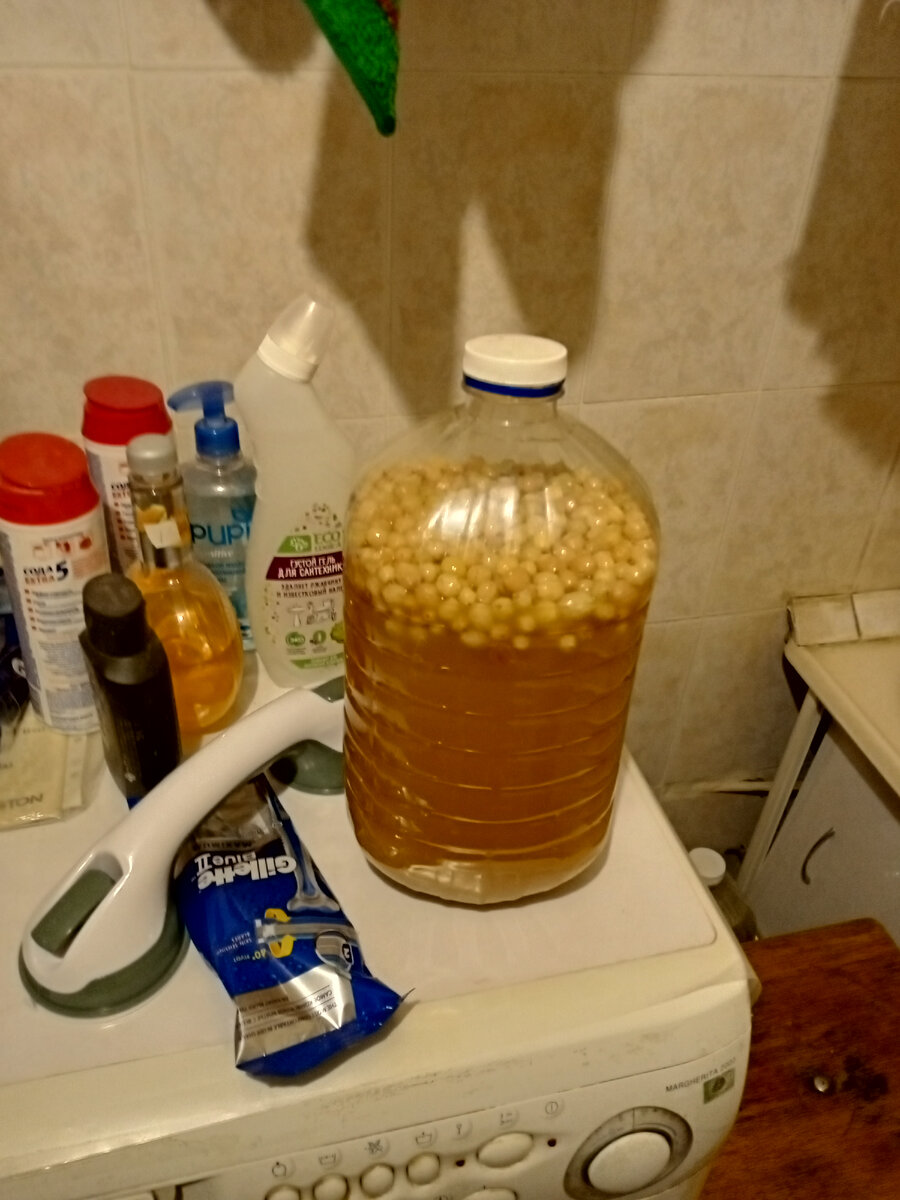 Все бродило тут, в ванной комнате, у меня в ней теплые полы.