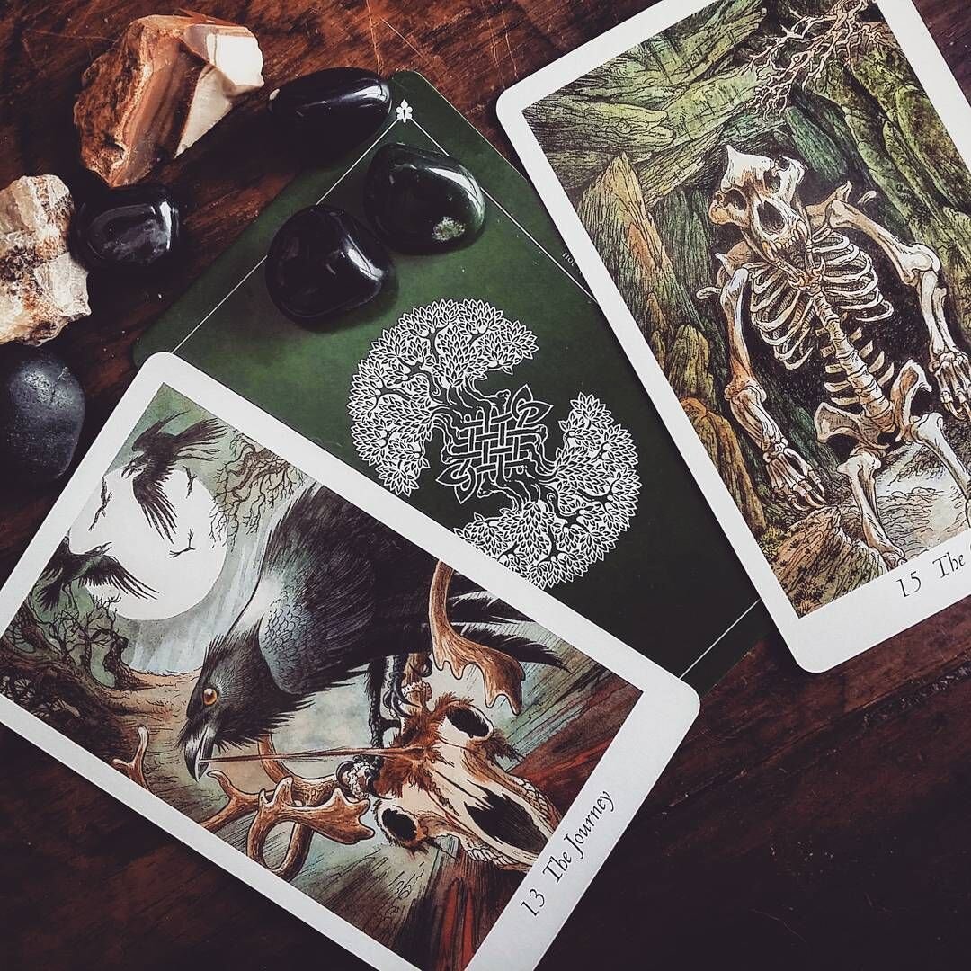 Изображение взято из интернета. 